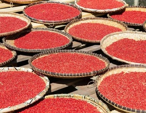 VANILLE HARVEST Granos de Pimienta Rosa de Madagascar (Baies Roses) Calidad Premium Cosecha Silvestre Envasado al Vacío 99% de Pureza Bayas Secas 24 - Product Image 3