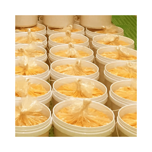 เสาวรสแช่แข็งรสหวานเปรี้ยวบรรจุสุญญากาศคุณภาพสูงเก็บไว้ IQF - Product Image 3