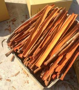 [KEITH VILACONIC] EXQUISITA CASSIA SECA NATURAL SPLIT CON ESPECIAS DE PRIMERA CALIDAD PARA EXPORTACIÓN GLOBAL A PRECIOS INMEJORABLES - Product Image 6