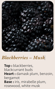 Candela Aromaterapica di Lusso Moderna Artigianale al Muschio di More 25cl, Logo Personalizzato, Cera Mista in Barattolo di Vetro Cilindrico, 55 Ore di Durata - Product Image 5