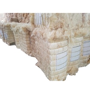 Oferta Especial: Fibra de Sisal Premium, Fibra Natural Cruda a Granel para Cuerdas, Cordel, Cepillos, Alfombras, Papel y Negocios de Exportación - Product Image 6