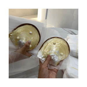 Bandeja de nácar hecha a mano con concha pulida con acento de bambú para servicios de hotel y estilo de mesa, hecha en Vietnam - Product Image 2