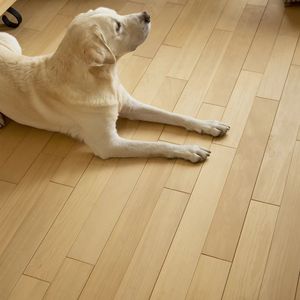 Plancher en bois massif de pin indonésien, surface texturée douce et dynamique, sans nœuds - Product Image 4