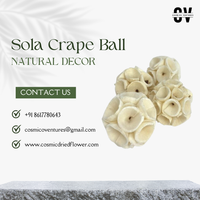 Bola-bola Sola Crape Alami Berkualitas Tinggi untuk Dekorasi Pernikahan DIY, Wisuda, Natal, Hari Ayah, Hari Ibu & Acara Halloween