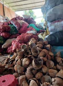 Cáscara de Coco Cruda Premium de Calidad Limpia para Productores Artesanales y Fabricantes de Briquetas de Carbón Vegetal a Granel - Product Image 3