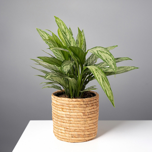 Vietnam panier de fleurs bambou naturel rotin paniers de rangement jacinthe d'eau jonc de mer conteneurs de stockage-SF2002 - Product Image 4