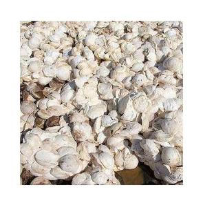 TAZA LUMP CAUCHO NATURAL - Product Image 3