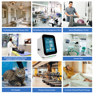 Appareil de thérapie <span class=keywords><strong>laser</strong></span> infrarouge puissant 810 980 nm pour les soins des plaies inflammatoires chez les animaux, les maladies articulaires dégénératives, utilisation vétérinaire - Product Image 3