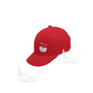 Gorra de béisbol de dos tonos al por mayor, tipo de patrón personalizado aplicable para embalaje exterior en cartón, fabricante de productos de Vietnam - Product Image 6