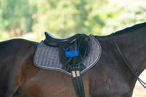 Almohadillas de sillín de doma Material ecológico Almohadilla de salto de color personalizada Alfombras de caballo Tamaño personalizable - Product Image 5