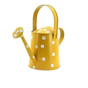 Regadera Decorativa Hecha a Mano con Diseño de Metal de Hierro Estilo Antiguo para Uso Diario en el Jardín - Product Image 5