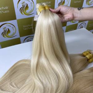 Venta al por mayor 100% Extensiones de Cabello Virgen Remy Vietnamita Precio de Fábrica Color Rubio Onda Recta Cinta Natural Cabello de Una Cabeza - Product Image 1