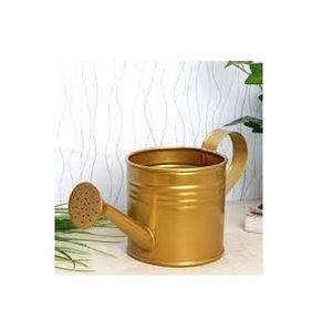 Proveedor indio, decoración de jardín, lata de agua, herramientas manuales de jardín con acabado de metal de hierro utilizadas para la decoración del hogar y el jardín - Product Image 2