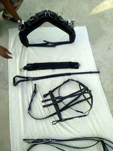 Juego de arnés de cuero para caballos de alta calidad con accesorio de acero inoxidable - Product Image 4