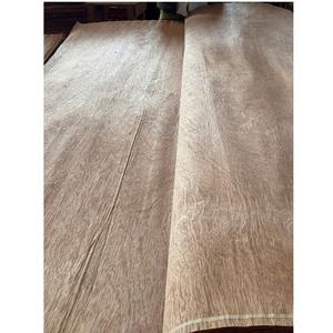 Panneaux de porte intérieurs en bois élégants, modernes et minimalistes haut de gamme Surfaces en contreplaqué de placage de visage Gurjan pour meubles - Product Image 2