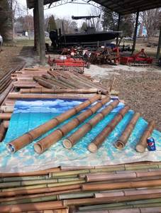 Canne en bambou droite sèche naturelle de haute qualité pour la fabrication de clôtures ou de constructions ou utilisée dans la canne en bambou agricole - Product Image 3