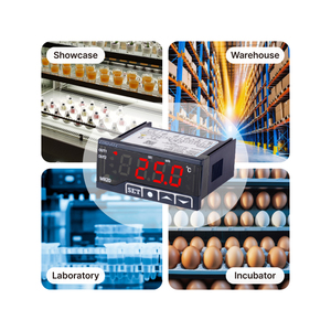 DSFOX-MR20 làm mát nhiệt độ cao điều khiển sưởi ấm với bộ điều khiển thời gian làm mát hệ thống nhiệt độ điều khiển - Product Image 3