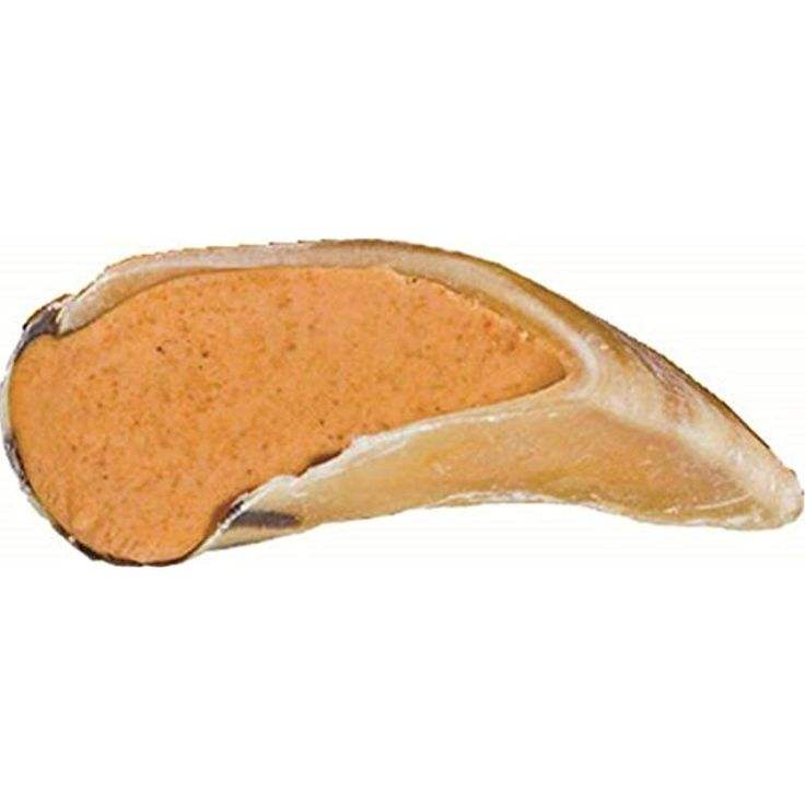 ธรรมชาติ