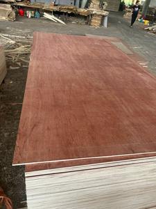 Vente en gros Vietnam de contreplaqué commercial de première classe 15-17 18mm face Bintangor E2 pour meubles modernes - Product Image 6