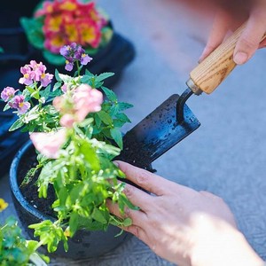 Pelle de jardin, truelle de jardin haut de gamme, accessoires de plantation japonais avec poignée ergonomique en bois dur, truelle de jardin - Product Image 5