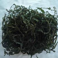 Algues Offre Spéciale séchées en tranches d'algues sublimées dans un sac Laminaria Japonica pour l'exportation de salade vers la Russie