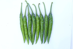 Semillas Híbridas NOORANI F1 de Chile Picante - Product Image 5