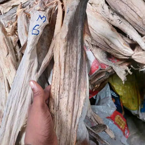 ปลาแช่แข็งเกรดพรีเมียม มีจำหน่ายจำนวนมาก ตากแห้งตามธรรมชาติ ไม่มีสารกันบูดหรือสารปรุงแต่ง แช่แข็งแบบ IQF อายุการเก็บรักษา 12 เดือน - Product Image 1