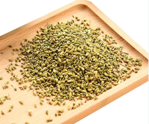 Sophora japonica seca de alta calidad de proveedores de Vietnam a un precio asequible de exportación en el mercado - Product Image 2