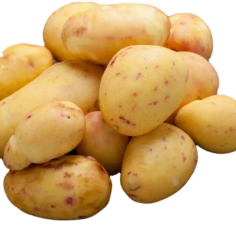 新鮮なジャガイモの包装と輸出メッシュポテト