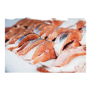 ซื้อเนื้อปลาแซลมอนสีน้ำตาลจำนวนมากเพื่อการส่งออกและการจัดหาระหว่างประเทศ - Product Image 3