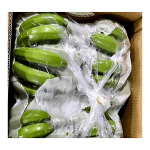 Qualité supérieure-Banane verte à vendre-Bananes fraîches naturelles Nouvelle récolte-Exportation de fruits frais dans le monde entier depuis le Vietnam - Product Image 6