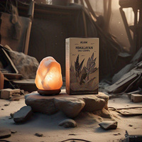 Lampe de sel de l'Himalaya certifiée GMP, 2-3 kg, écologique, décoration intérieure, croix Feng Shui, animaux, fleurs, faite à la main, électrique