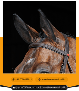 Anpur no perenne, Riel de pestañas - Product Image 5