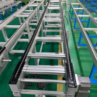 Sistema de Transporte de Cadenas para Palets de Alta Resistencia con Módulos Acumuladores Automáticos para Centros de Distribución Logística de Almacenes