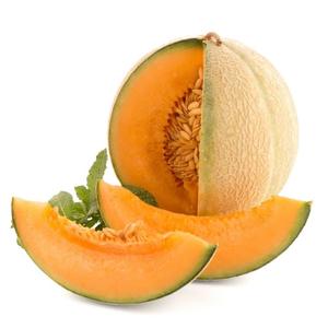 Melones Cantalupo Frescos Naturales de Primera Calidad - Alta Dulzura (Brix) - Melones Musk de Grado de Exportación a Granel - Product Image 1