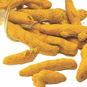 Doigts de curcuma de qualité supérieure, approvisionnement d'exportation de haute qualité - Product Image 2