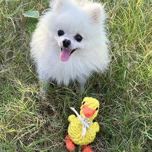 Jouet pour chien Canard Jaune Soleil, en polaire écologique, corde en nylon, coton classique, peluche en plastique, design mignon pour animaux de compagnie, sac PP inclus - Product Image 3