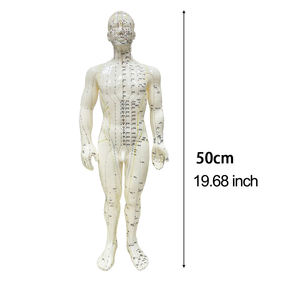 Modelo de Acupuntura Masculino de PVC de 50 cm para Enseñanza de Ciencias Médicas - Product Image 2