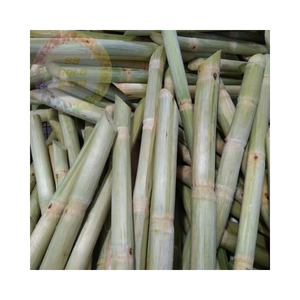 ก้านอ้อยสดแช่แข็ง-เหมาะสำหรับเครื่องดื่มเพื่อสุขภาพ - Product Image 4