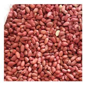 Arachides entières séchées crues biologiques 25 kg/sac - Product Image 3