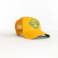 Casquette de baseball avec patch logo, 6 panneaux, vierge, style Hip Hop, imperméable, en coton, pour le sport et le voyage, avec boucle en cuivre doré, type Trucker en maille