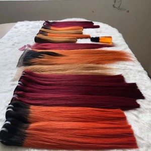 Vente en gros Extensions de cheveux humains Remy bicolores non transformés Cheveux vietnamiens droits naturels Tendance 100% Paquets authentiques - Product Image 6