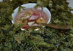 PREMIUM SEA <b>GRAPES</b> CLEAN LABEL PLANT BASED SUPERFOOD FOR IMMUNE SUPPORT AND WELLNESS - Product Image 5