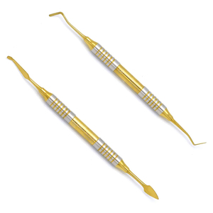 Juego de 5 piezas de instrumentos dentales de precisión con puntas doradas, ligeros, para relleno de composite, manuales, de acero inoxidable, para puente óseo, CE - Product Image 2