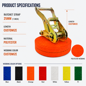 PROVINA OEM Sangle à cliquet en polyester 25 mm avec logo personnalisé, certifiée CE, résistance à la rupture personnalisable (jusqu'à 5000 kg), résistante à l'usure, sans… - Product Image 3