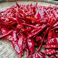 Piments rouges entiers séchés biologiques de qualité supérieure, qualité alimentaire, paquet de 25 kg, fabriqué en Inde, saveur épicée, vente en gros