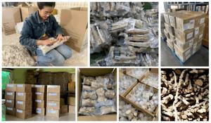 Coffee Wood Stick Pull Dog Toy OEM ODM Vietnam Manufacturer Bulk Supplier Wholesale Eco Friendly Dog Toy For Training And Play - Product Image 6