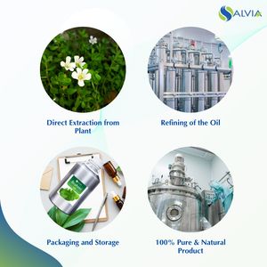 Brahmi Oil 100% pur et naturel en gros en vrac prix le plus bas emballage personnalisé - Product Image 4