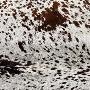 Taburete otomano de piel de vaca Natural con base de madera para sala de estar, muebles modernos para el hogar - Product Image 4