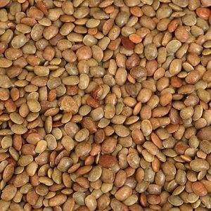 Frijoles Kulthi Secos Premium, Ricos en Proteínas, Suministrados a Granel para Compradores Globales, Mayoristas, Exportadores y Nutritivos - Product Image 2